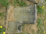 image of grave number 737585